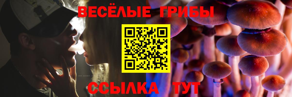 Галлюциногенные грибы Psilocybine cubensis Борисоглебск